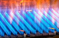 Blackmoor gas fired boilers